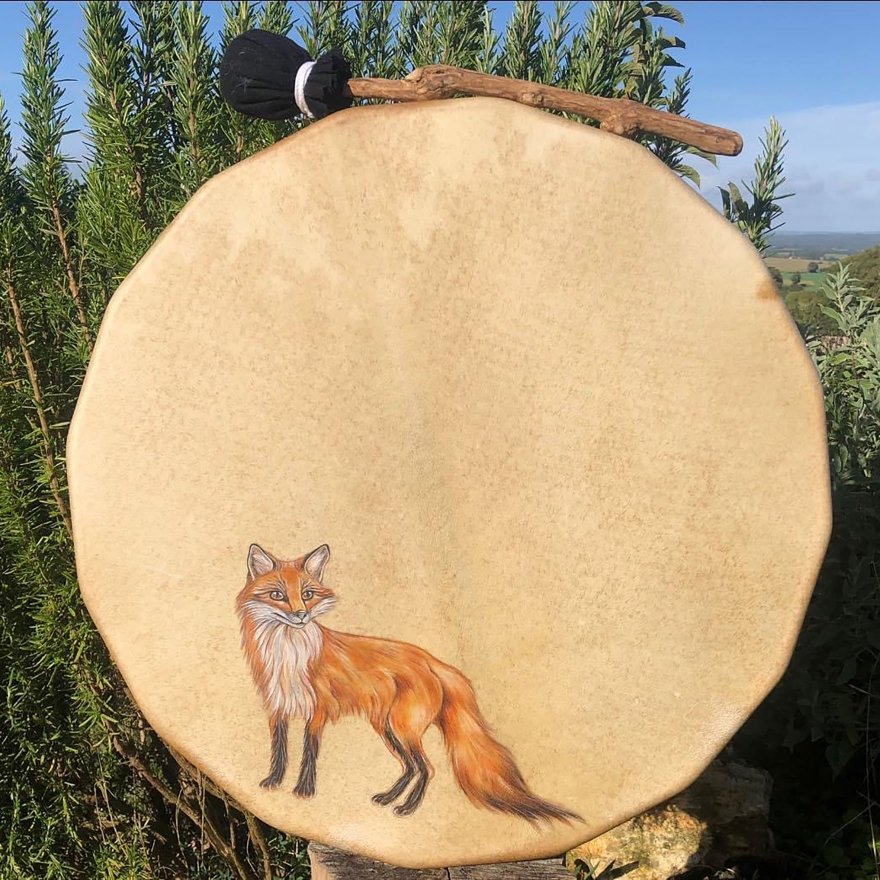 Tambour L'instinct du renard (tambour 19)