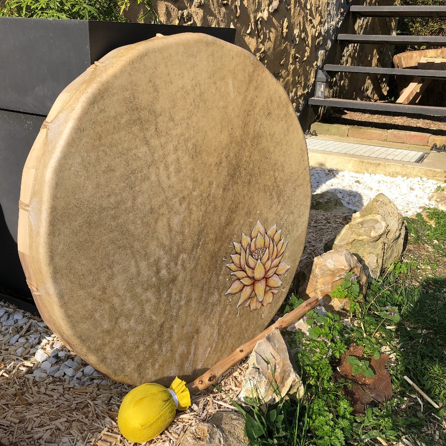 Tambour Tortue lotus (tambour 59)